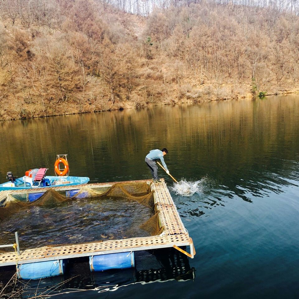 ���� 003.jpg