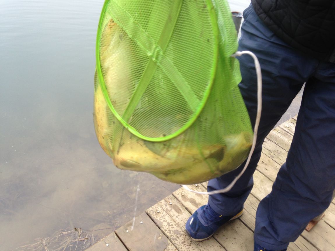 ���� 004.jpg