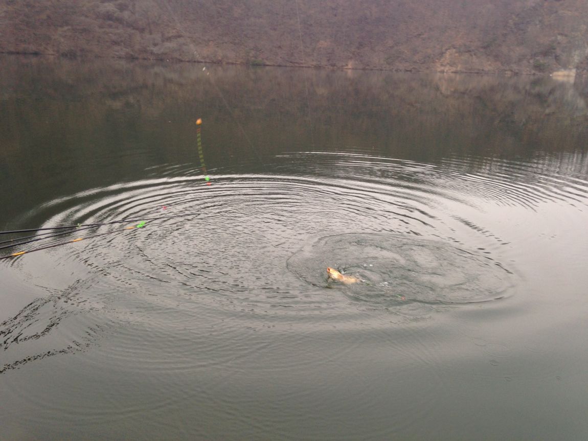 ���� 005.jpg