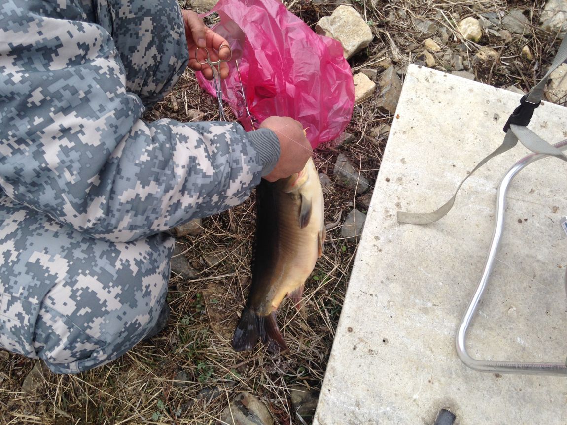 ���� 009.jpg