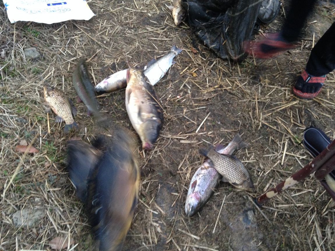 ���� 011.jpg