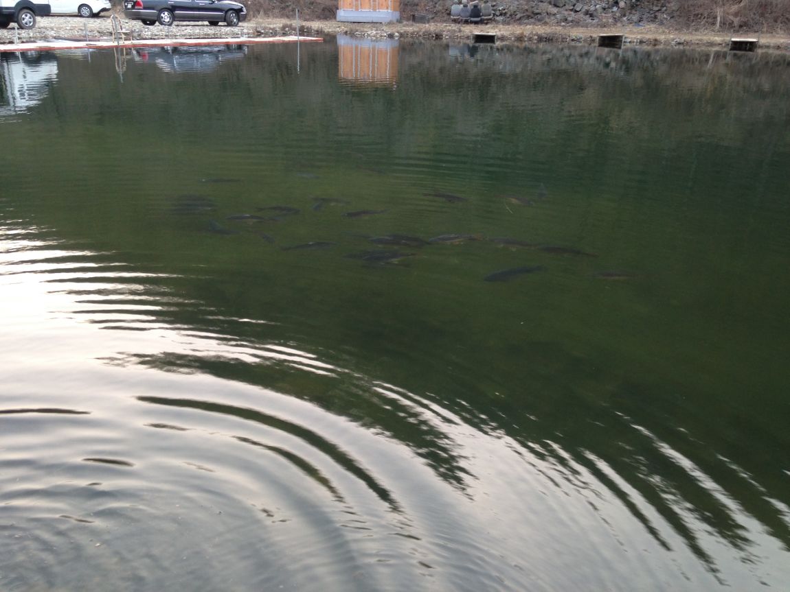 ���� 012.jpg