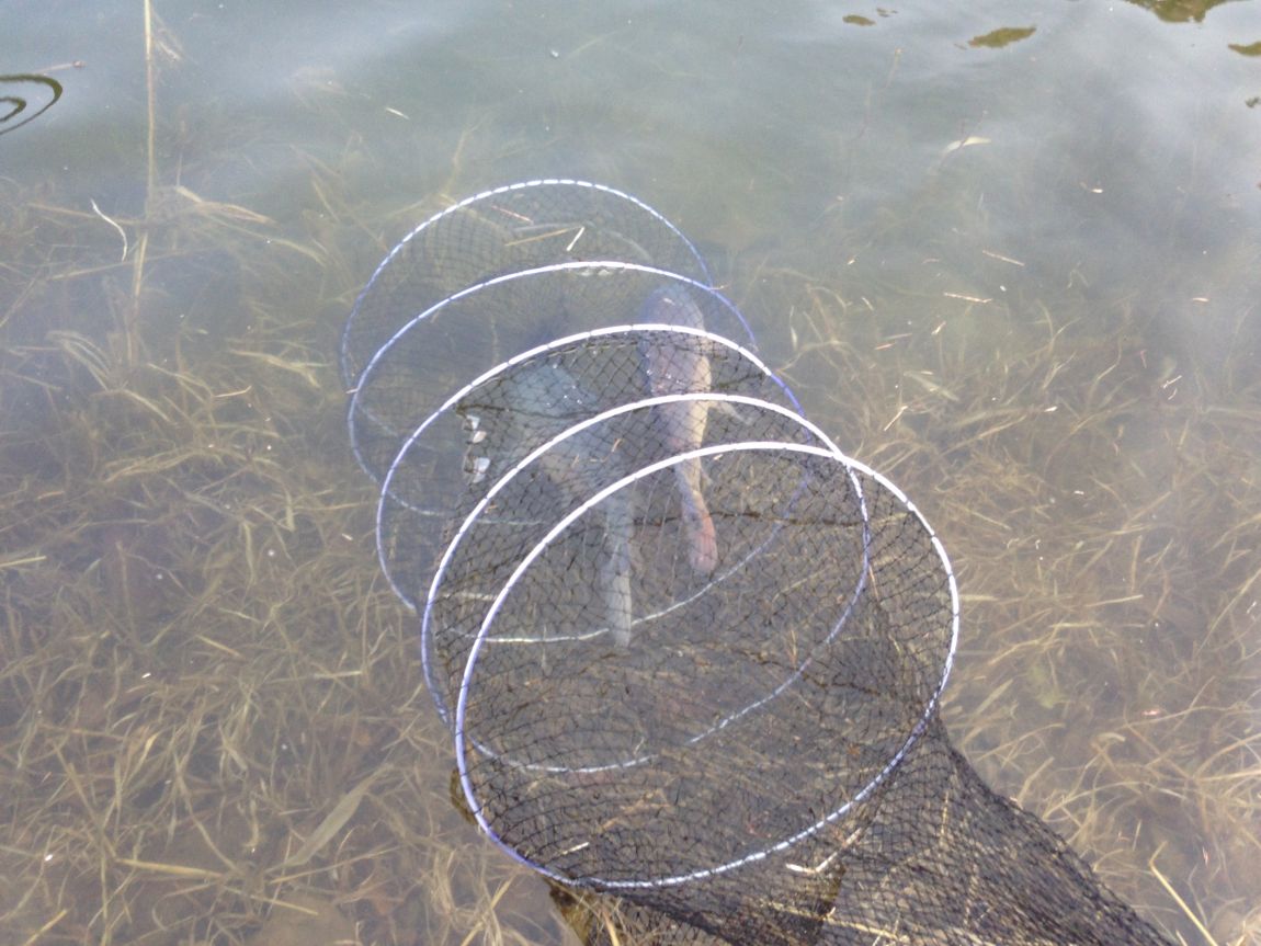 ���� 014.jpg