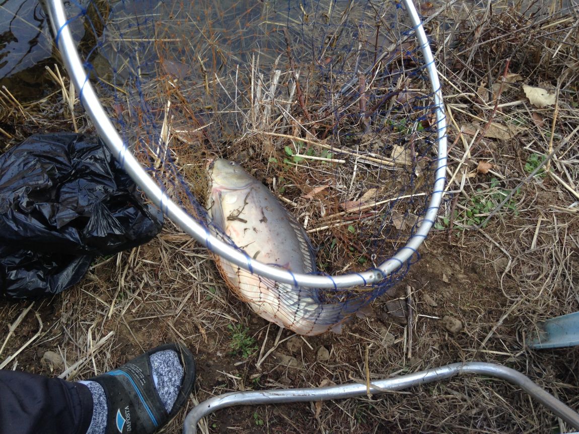 ���� 015.jpg