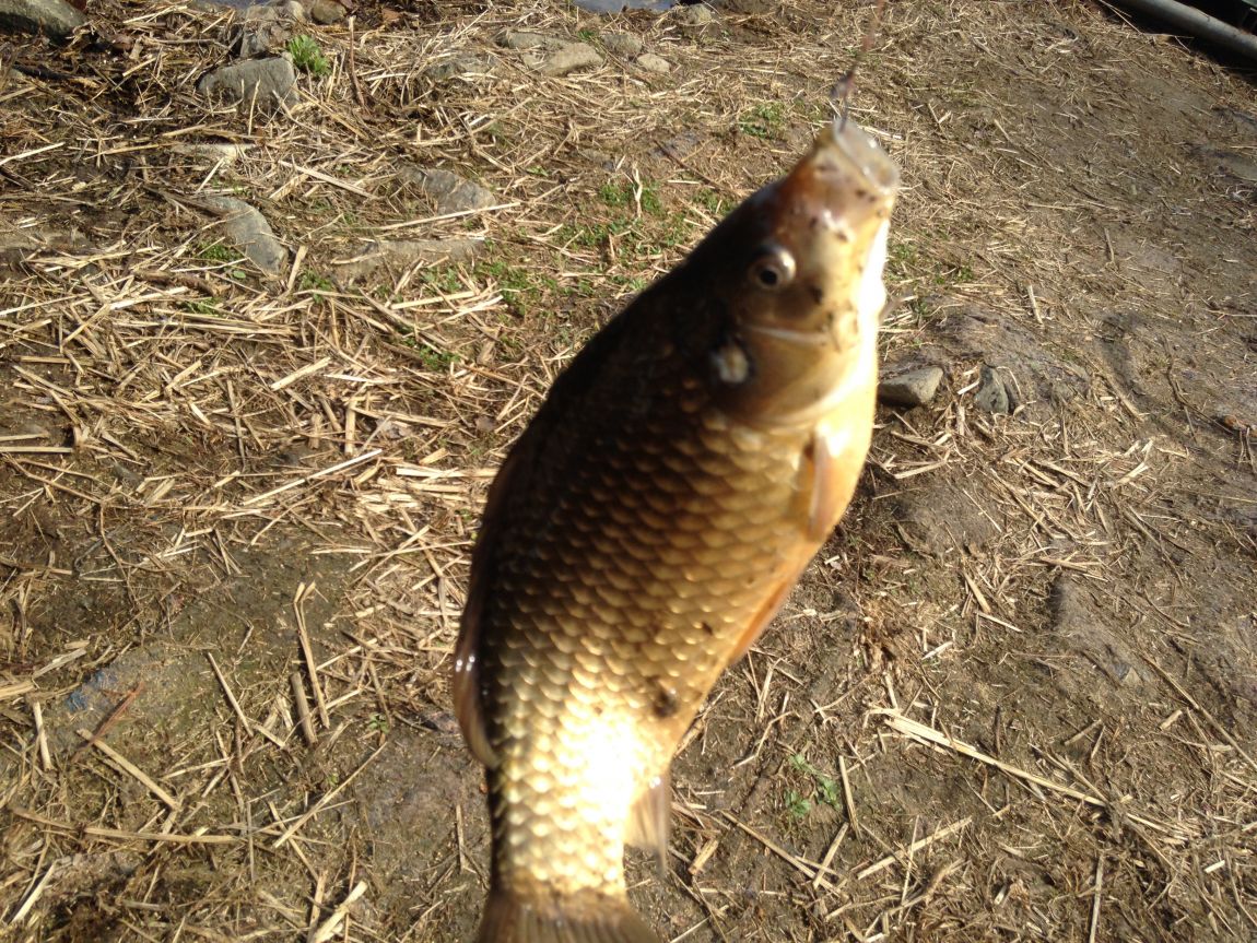 ���� 021.jpg