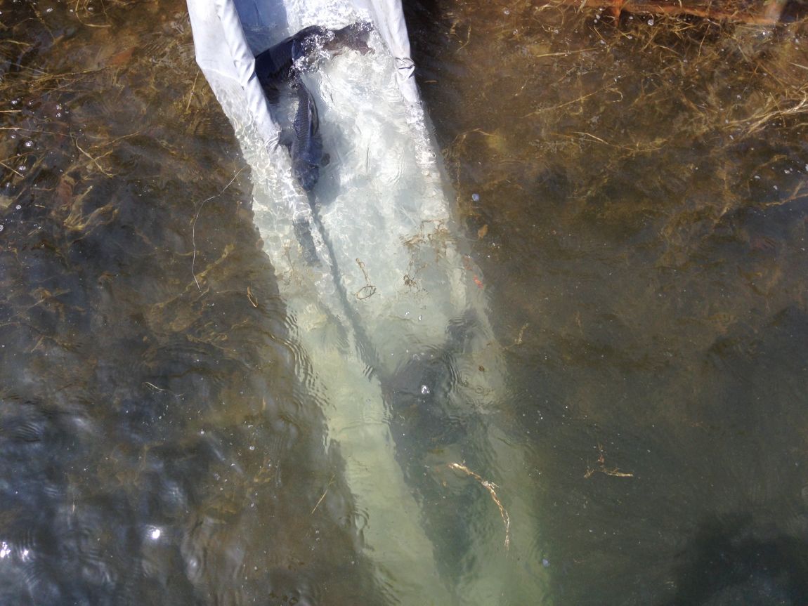 ���� 023.jpg