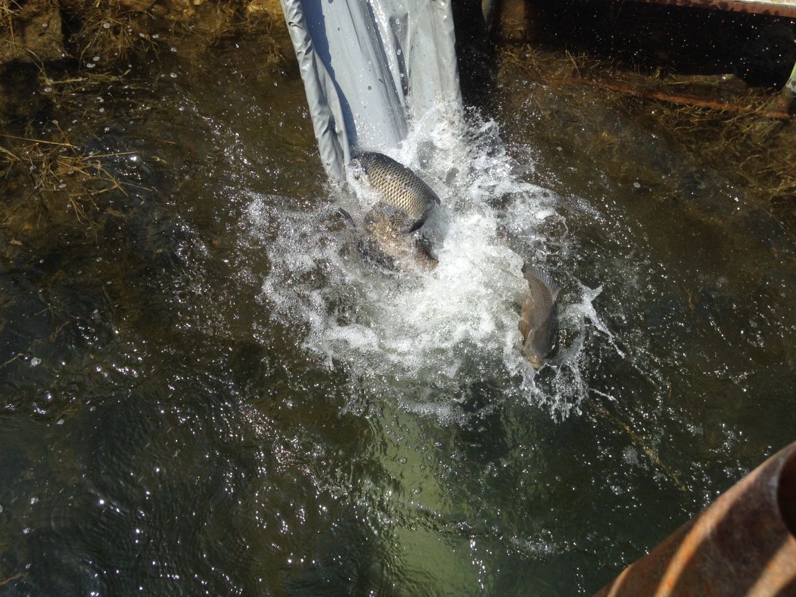 ���� 024.jpg