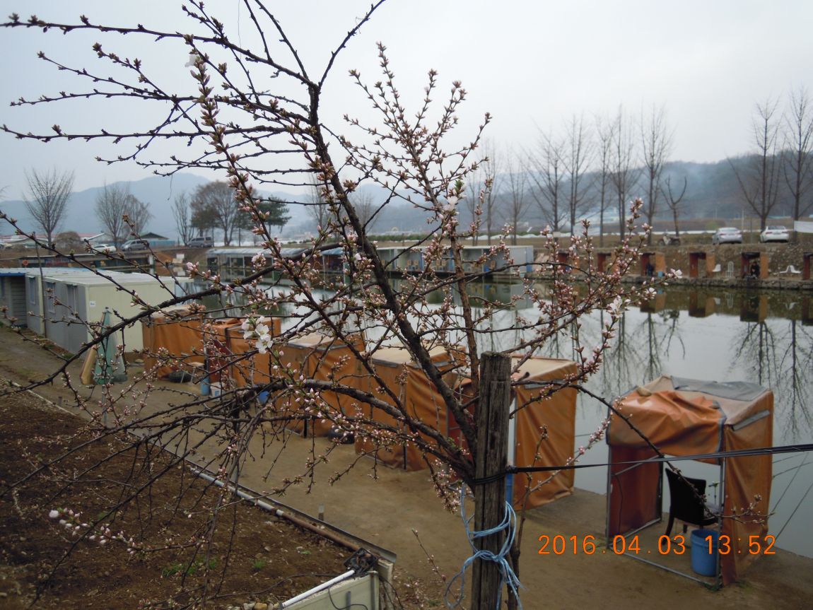 DSCN0291.JPG