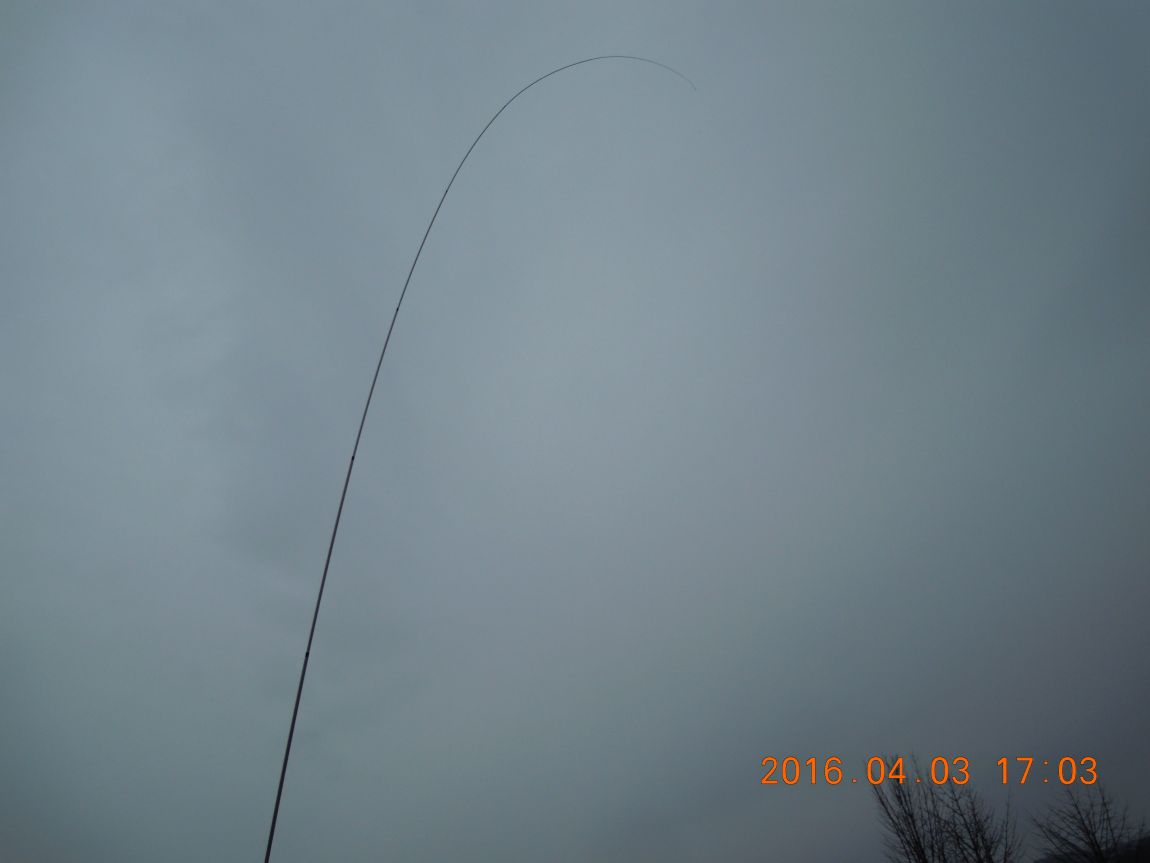DSCN0298.JPG