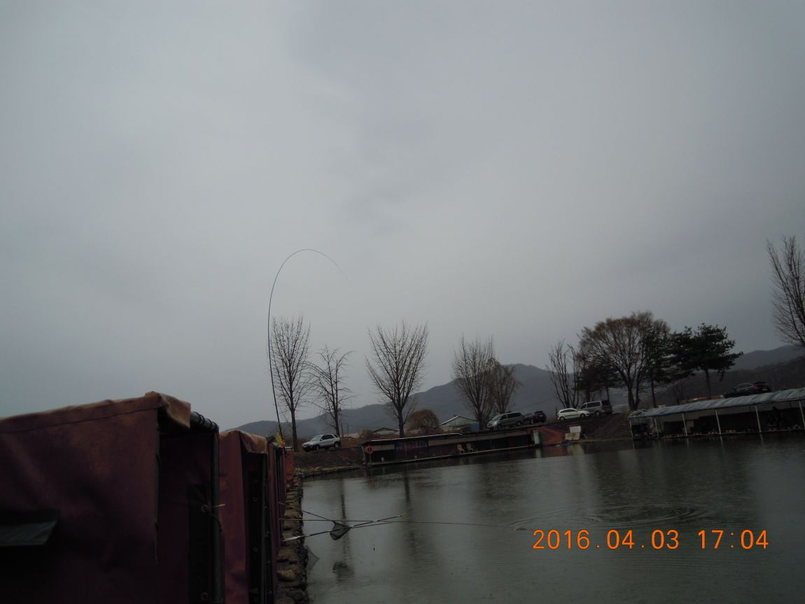 DSCN0300.JPG