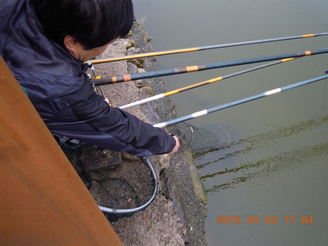 DSCN0301.JPG