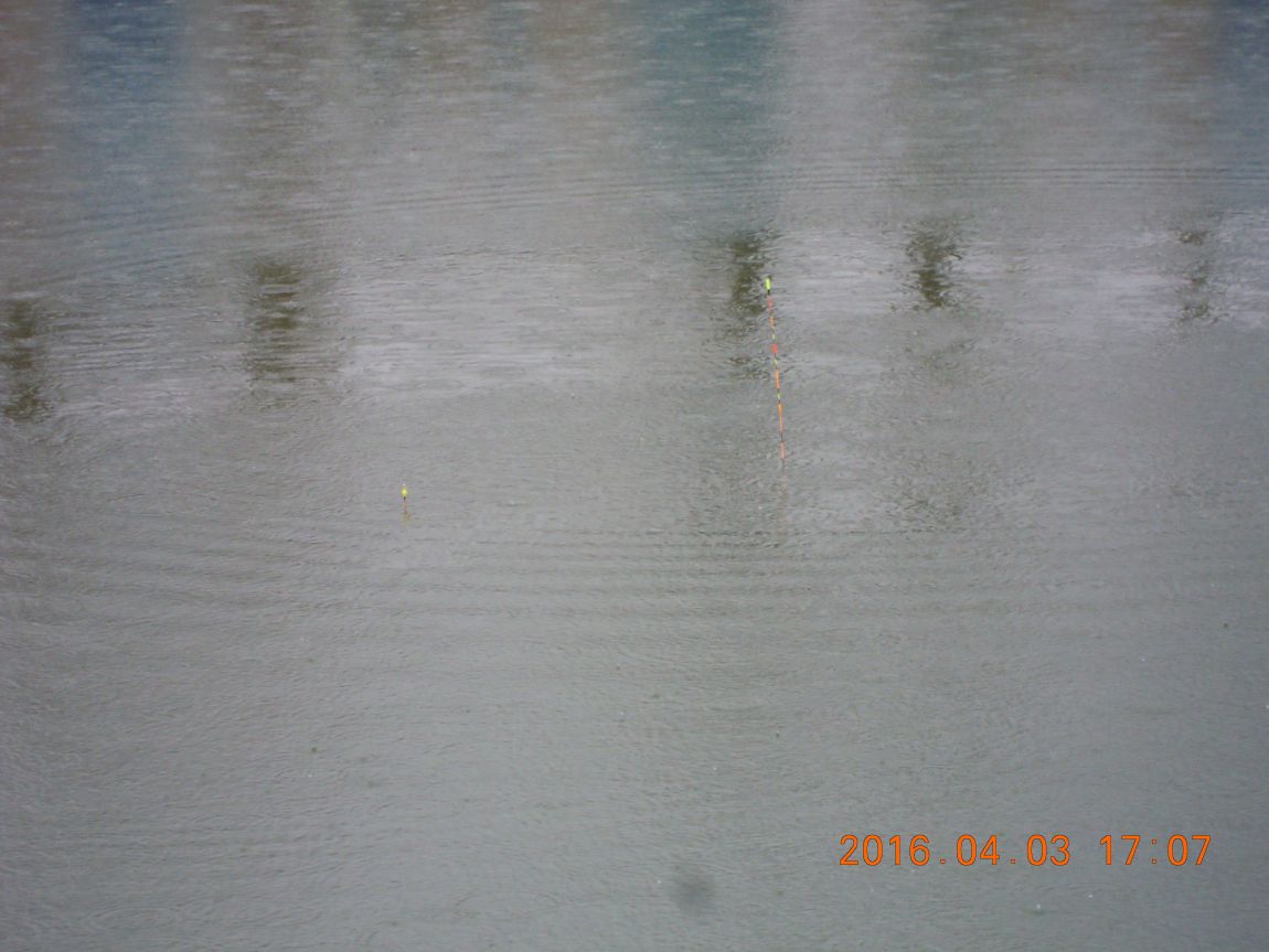 DSCN0304.JPG