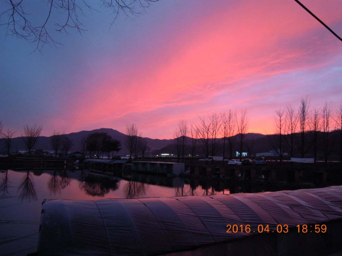 DSCN0305.JPG