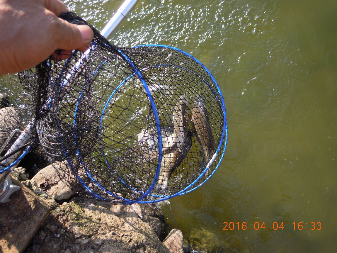 DSCN0307.JPG