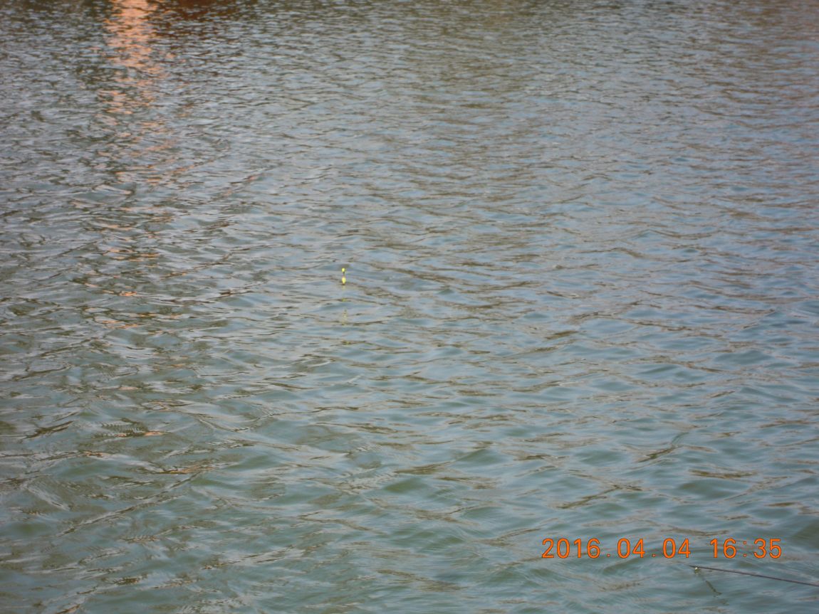 DSCN0308.JPG