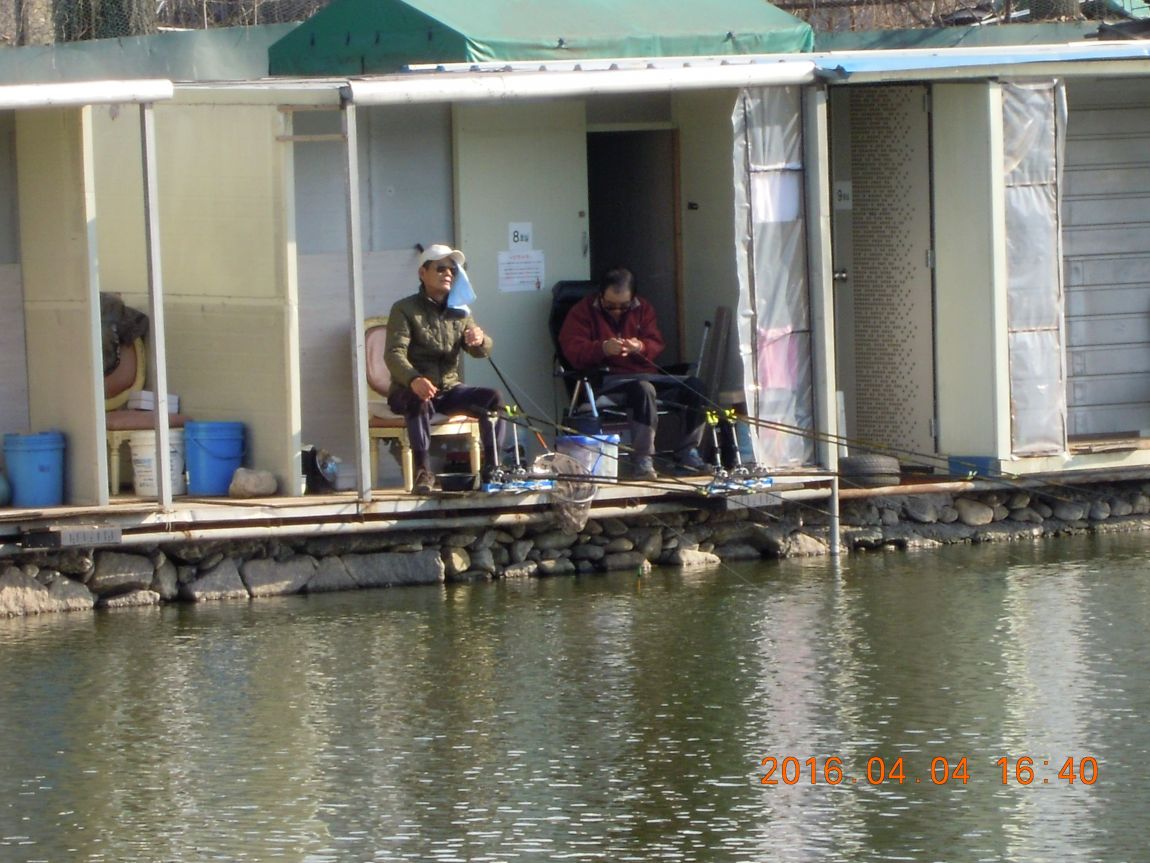 DSCN0311.JPG