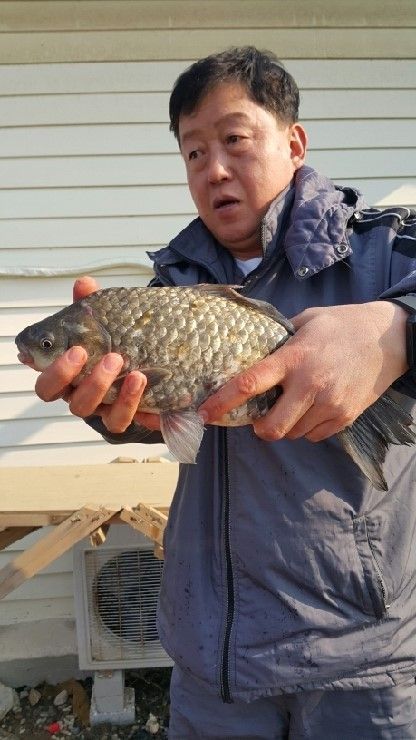 740_20160326_090857[1].jpg
