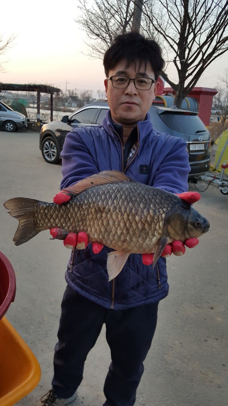 20160319_183154[1].jpg