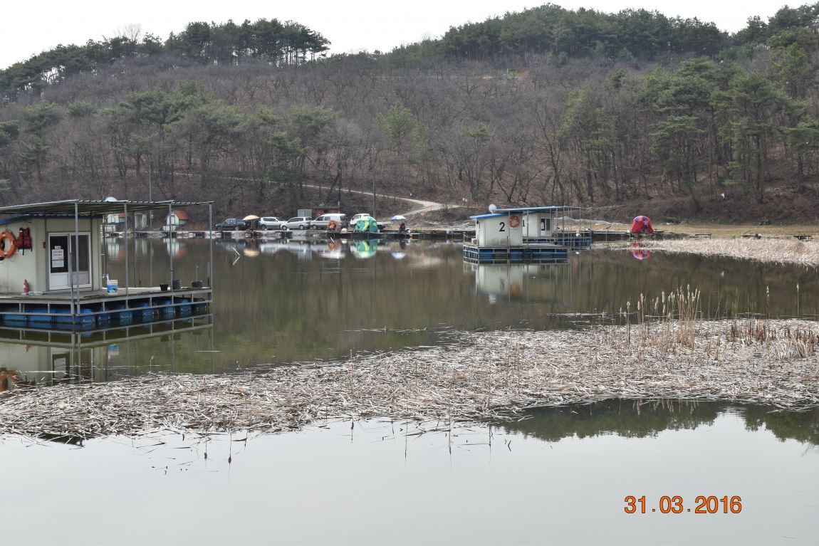 DSC_0047.JPG