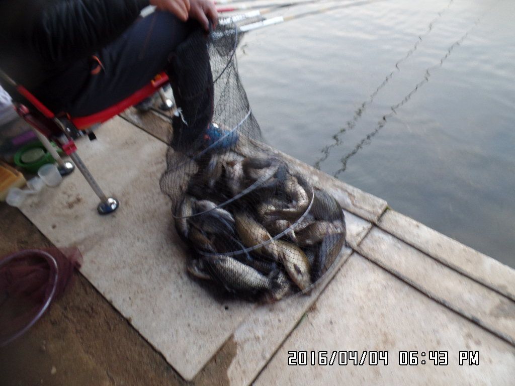 SAM_4309.JPG
