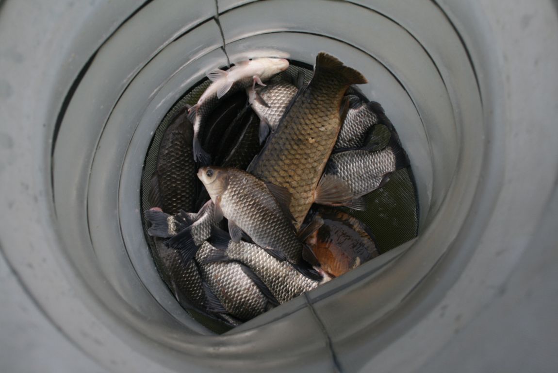 IMG_4296.JPG