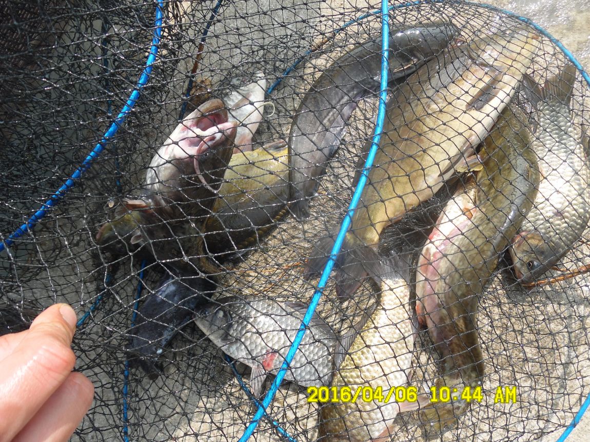 4��6�� 019.JPG