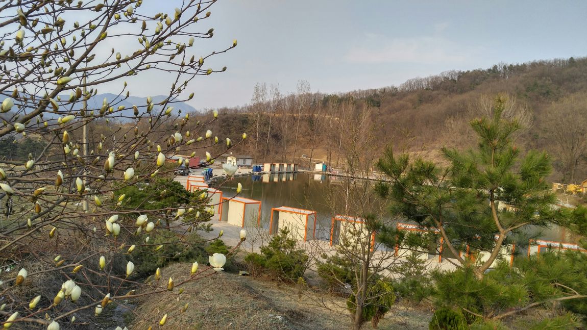 20160401_170312_HDR.jpg