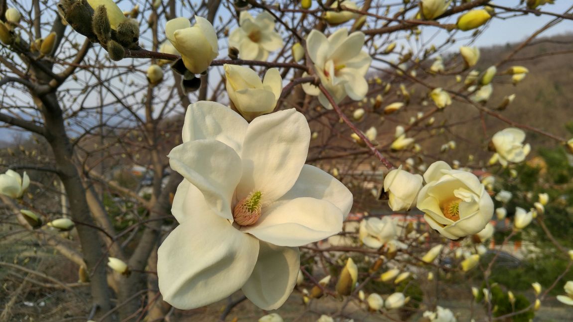 20160401_170331_HDR.jpg