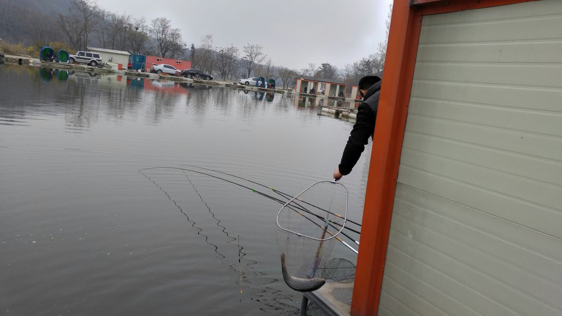 20160403_121348_HDR.jpg