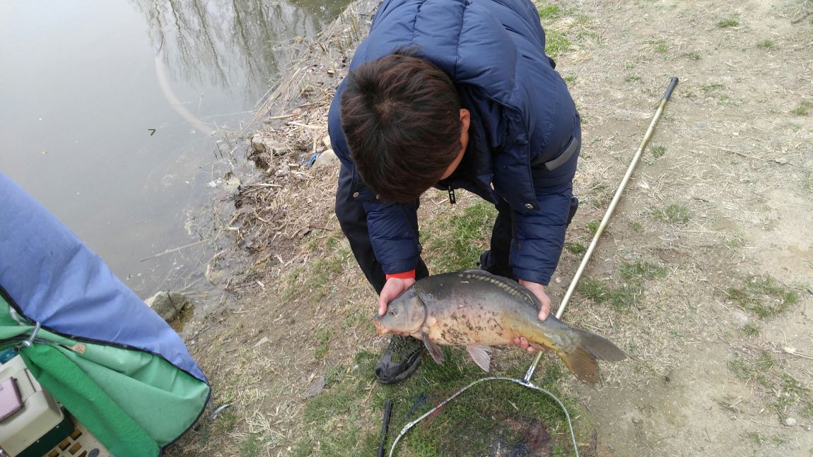 20160403_142116_HDR.jpg