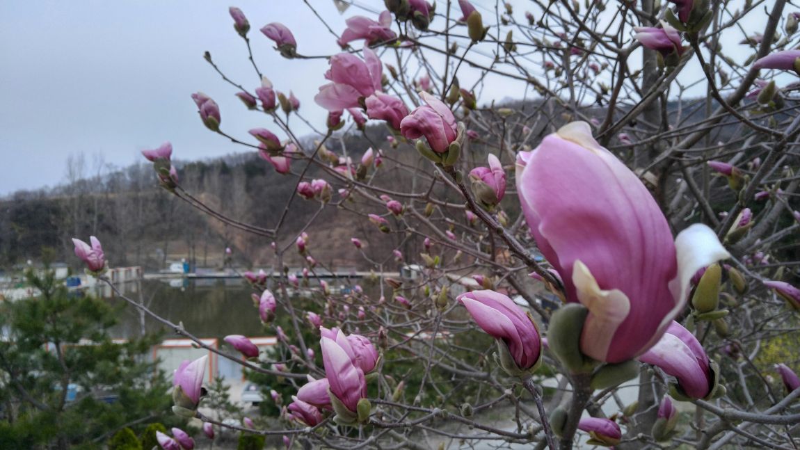 20160403_183018_HDR.jpg