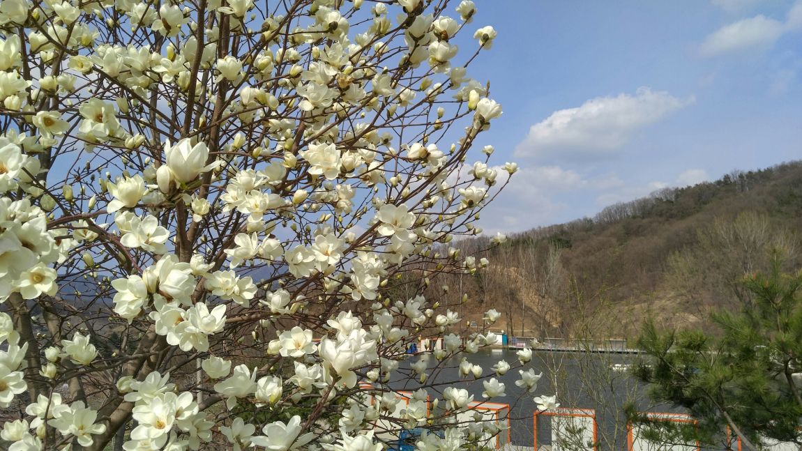 20160404_151917_HDR.jpg
