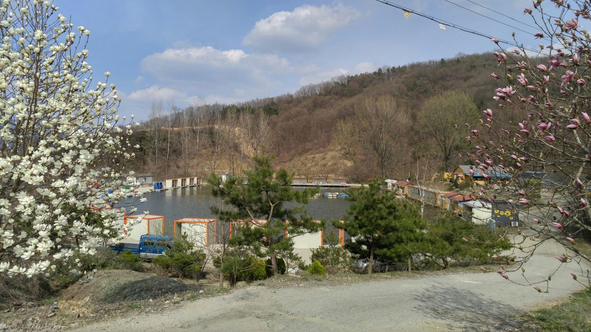 20160404_151934_HDR.jpg