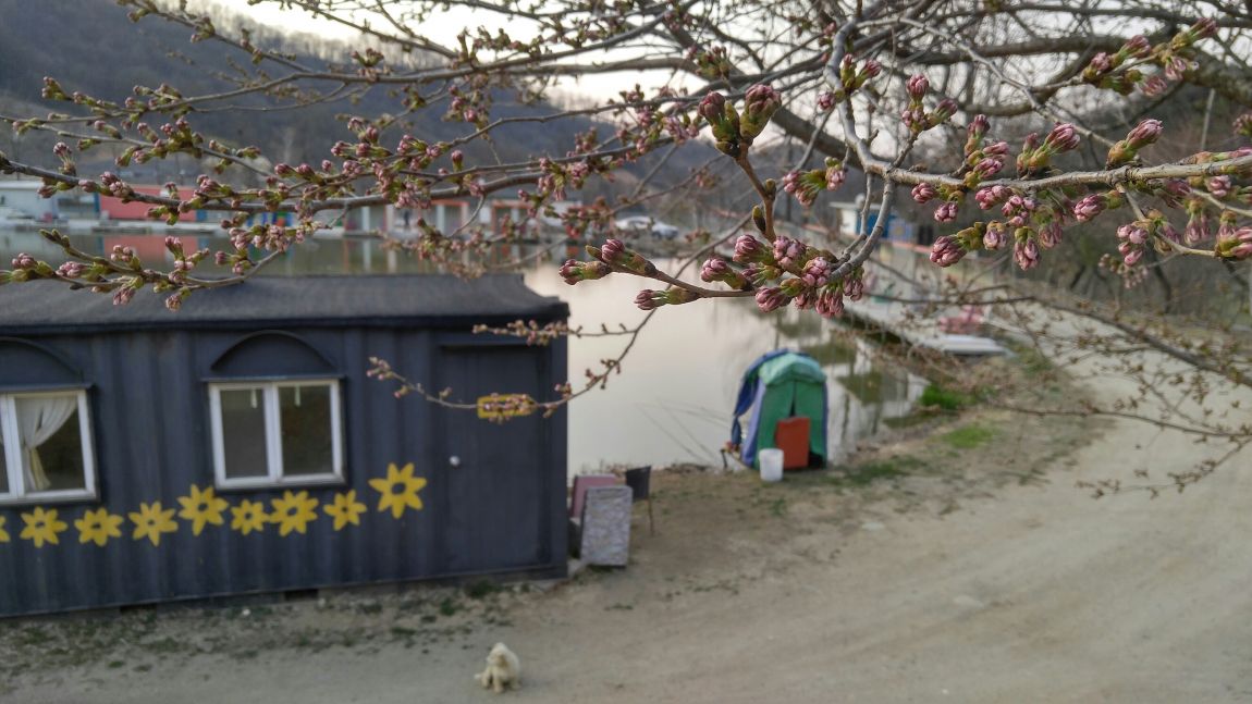 20160405_180318_HDR.jpg