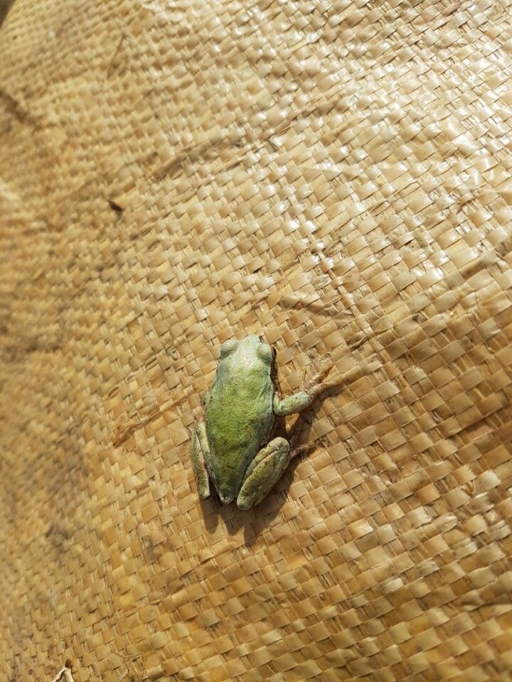 KakaoTalk_20160407_114131812.jpg
