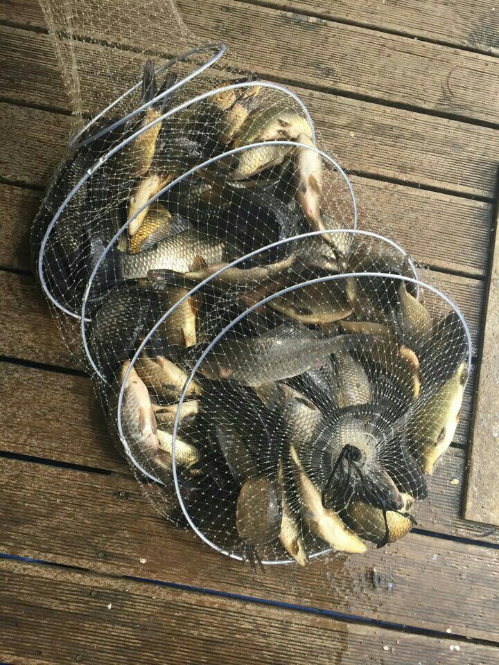 KakaoTalk_20160407_114132063.jpg
