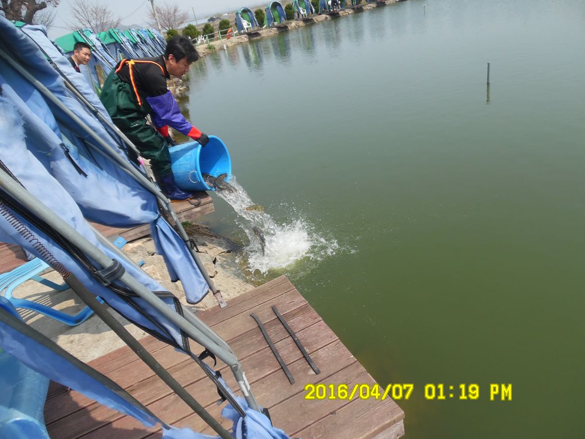 47 003.JPG