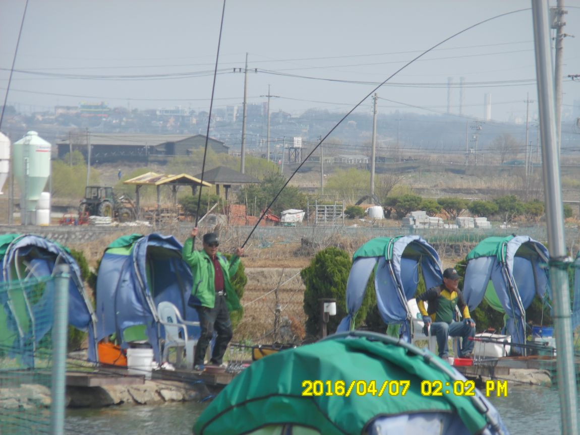 47 009.JPG