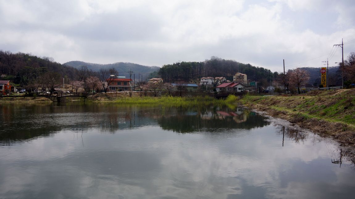 DSC02399-d.jpg
