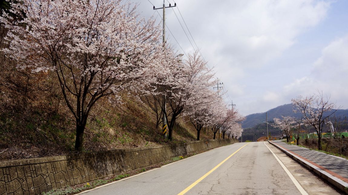 DSC02410-d.jpg