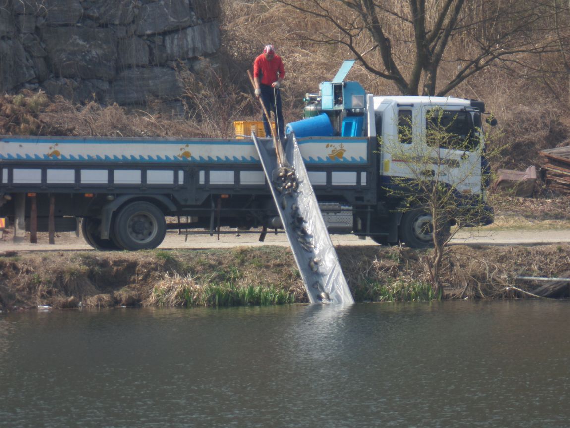 008.JPG