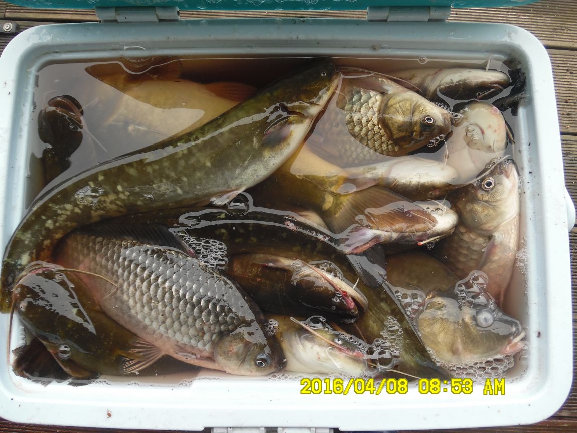 48 005.JPG