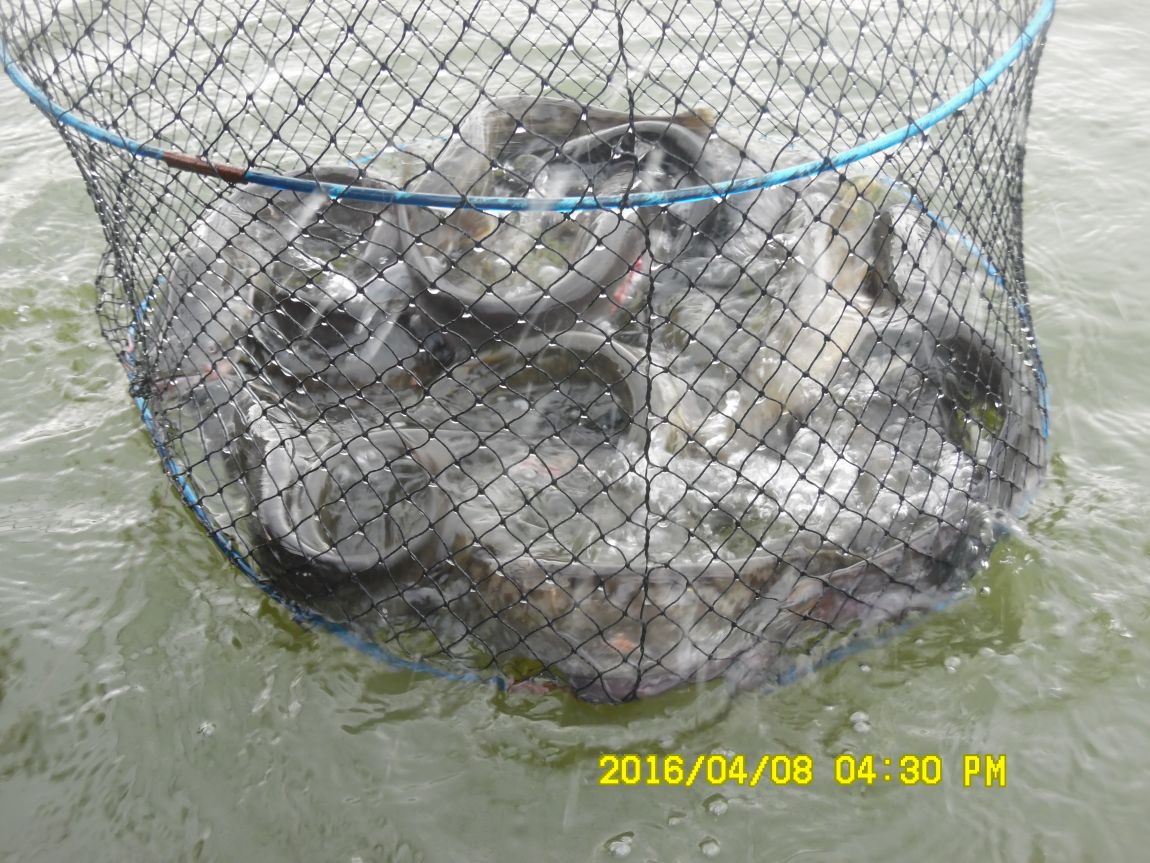 48 015.JPG