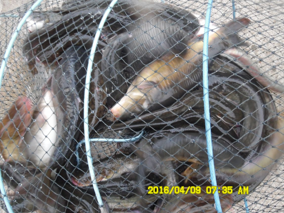 4��9�� 002.JPG