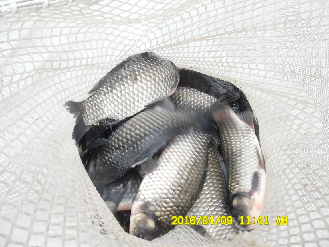 4��9�� 003.JPG