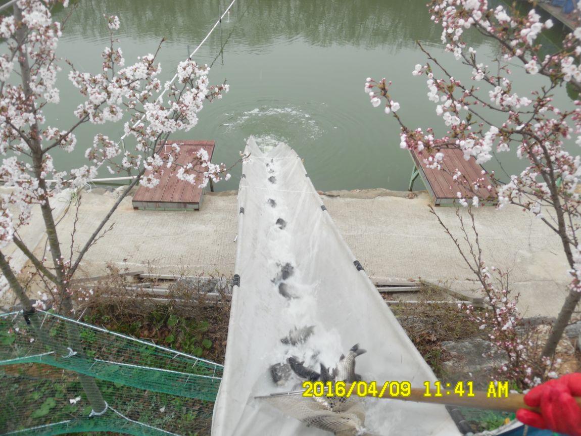 4��9�� 004.JPG