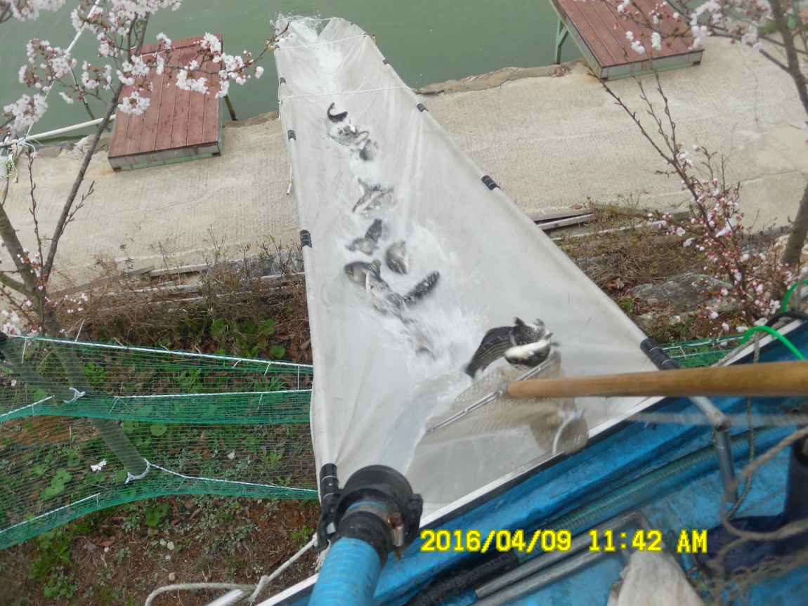 4��9�� 005.JPG