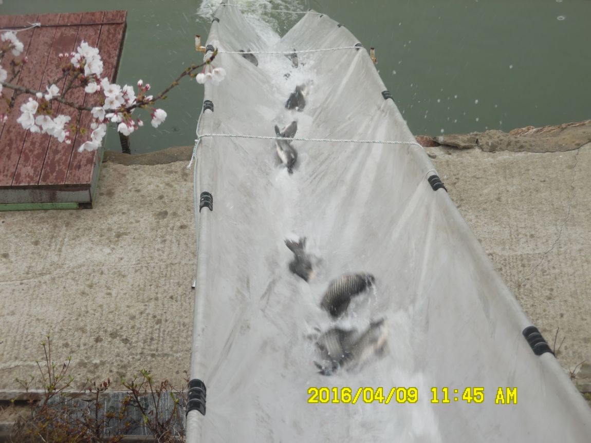 4��9�� 014.JPG