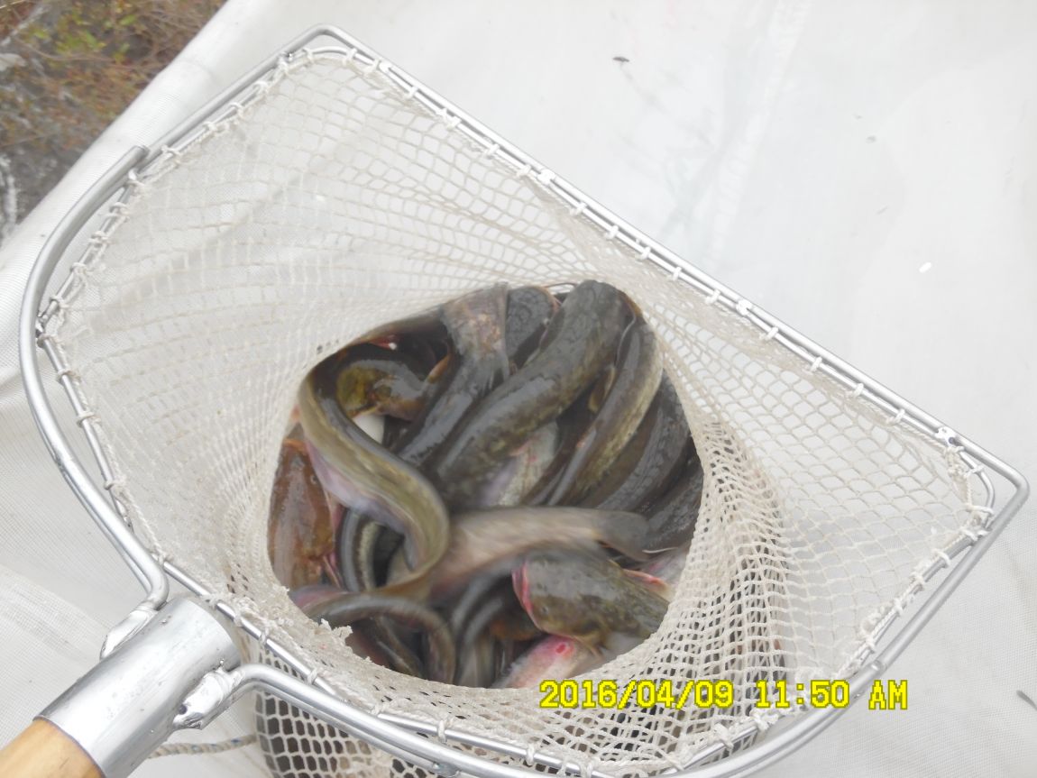 4��9�� 016.JPG