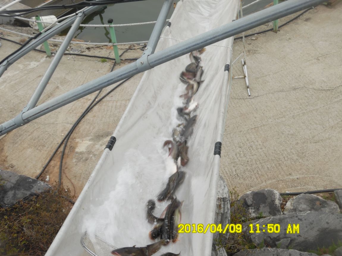 4��9�� 017.JPG